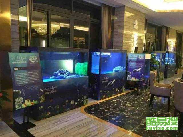 南京酷易搜 讓會展服務觸及卓越體驗